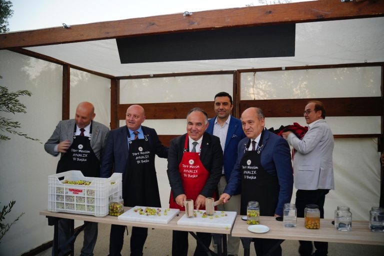 Zeytinyağının başkenti Ayvalık’ta ilk hasat