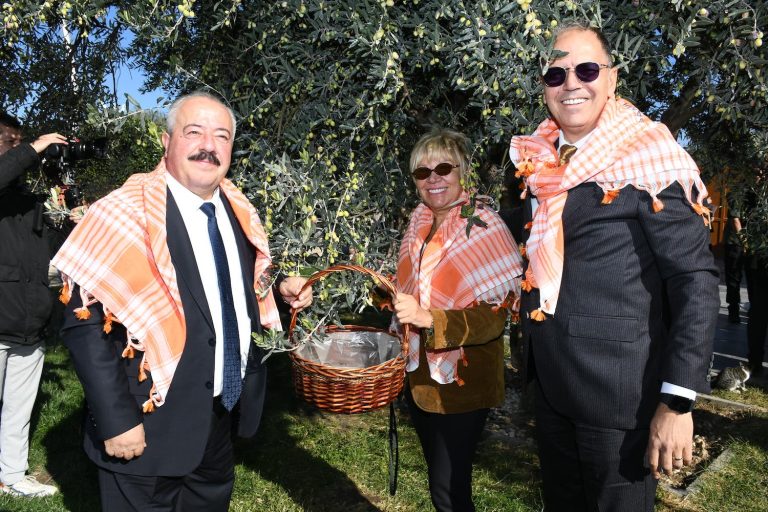 Bergama’da zeytin ve zeytinyağı sezonu başladı