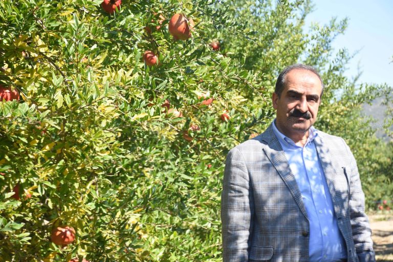 Nar ihracatı 150 milyon dolara koşuyor