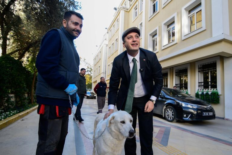 Sokak Köpeği Paşa’ya sıcak bir yuva