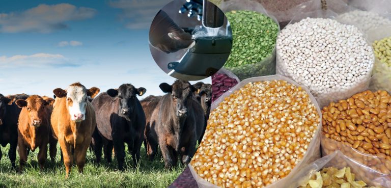  Tarımsal destekleme ödemeleri hesaplara aktarılıyor