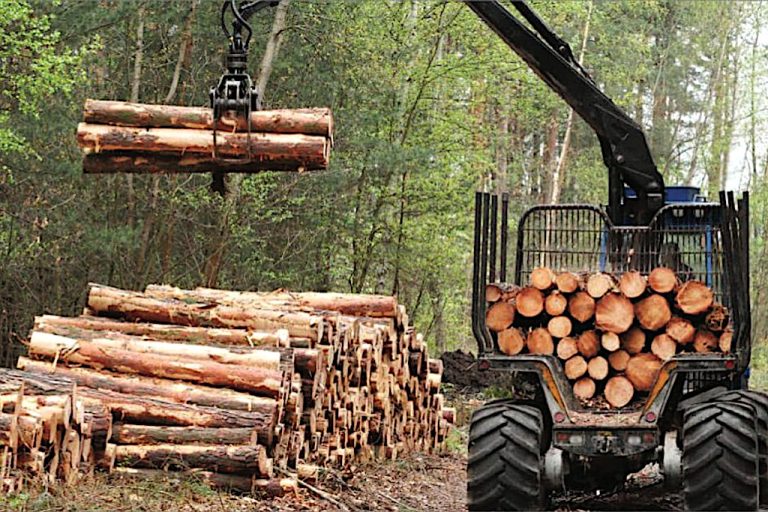 Bafra Orman İşletme Müdürlüğü orman deposu emvali istif hizmeti alacak