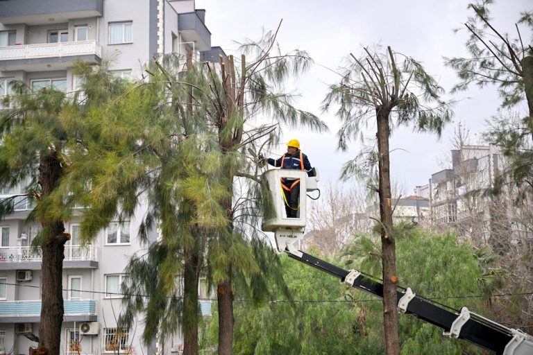 Bornova’da yeşil alanlara kış bakımı