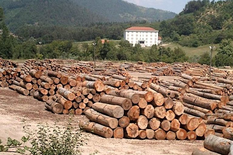 Ilgaz Orman İşletme Müdürlüğü orman emvali istifleme hizmeti alacak