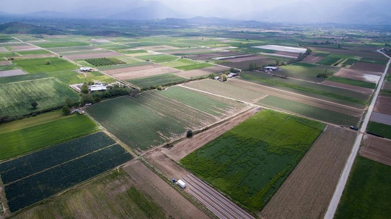 Küçük Menderes Havzası’nda verimlilik artıyor