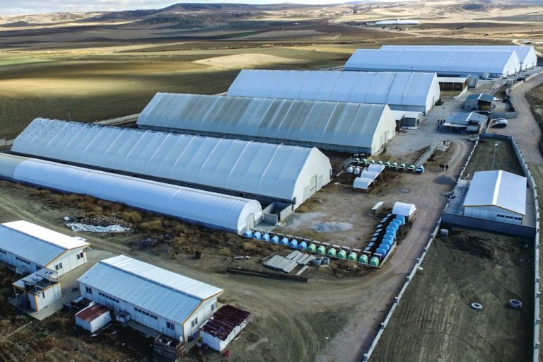Eskişehir Büyükşehir Belediyesi çadır tipi padok sistemi satın alacak