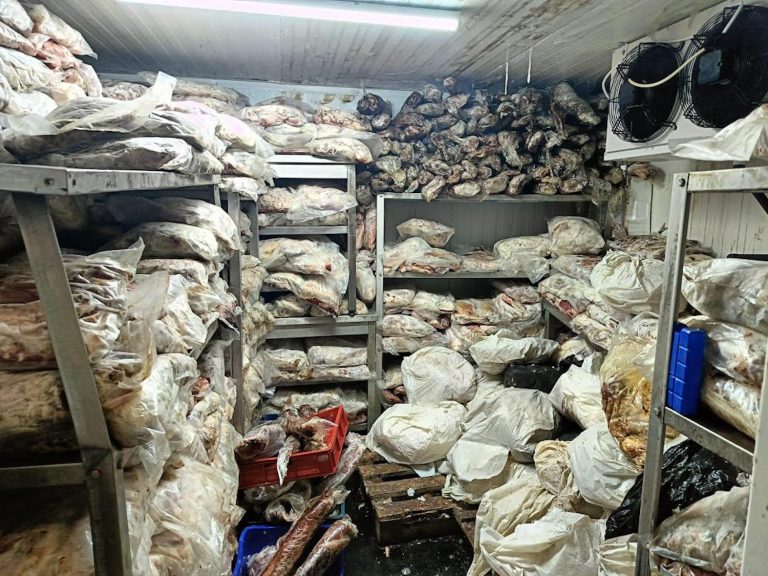 Tonlarca kaçak ve bozuk et ile balık ele geçirildi