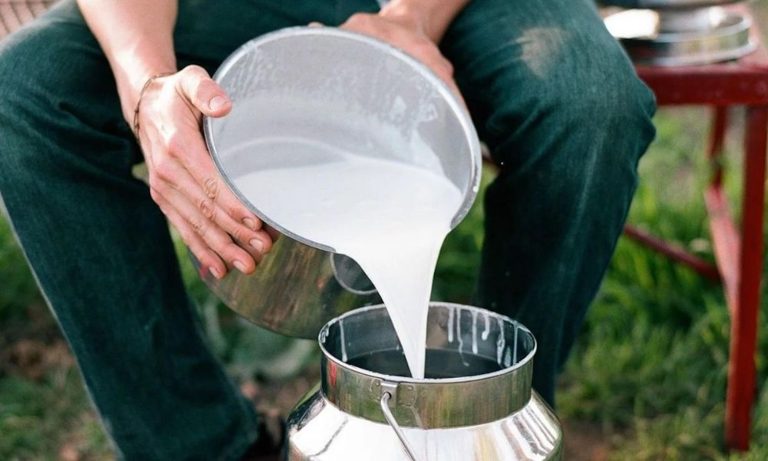 Ticaret Bakanlığı’ndan süt şirketlerine 58,3 milyon TL ceza