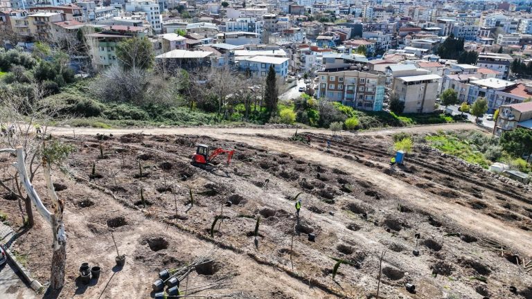 Bornova yeni bir orman kazanıyor
