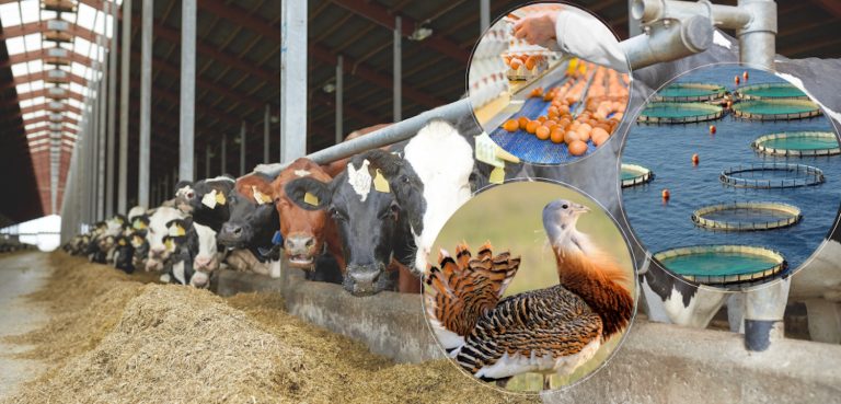 IPARD’dan 5 kategoride 188 milyon euro hibe desteği