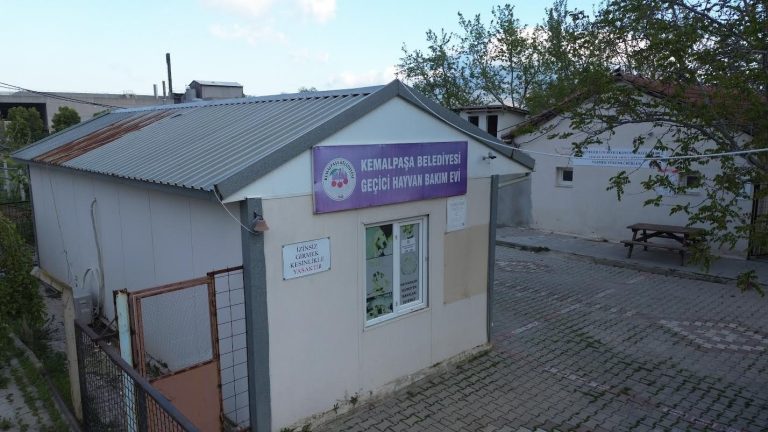 Sahiplenilen can dostların pasaportları artık belediyeden