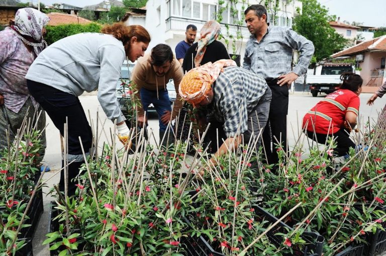 Karşıyaka’dan Sancaklı’ya fidan dayanışması