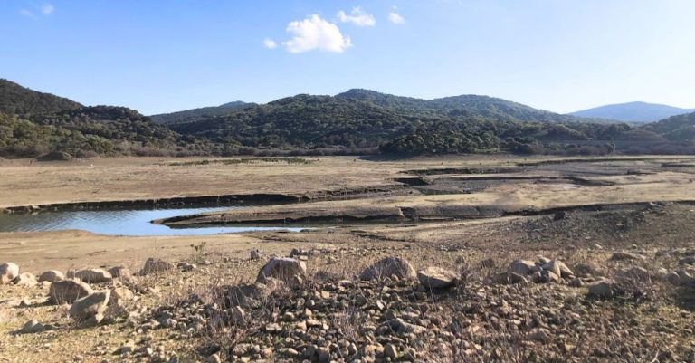 Kuraklıkla başa çıkmanın 6 yolu