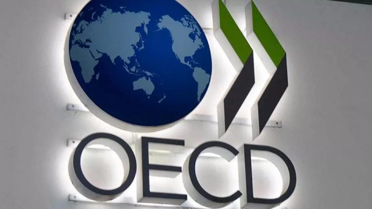 OECD: Türkiye’nin ekonomisi %4,9 büyüdü