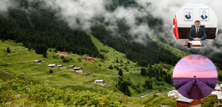 Orman köylerinde ikamet eden kadınlara hibe desteği
