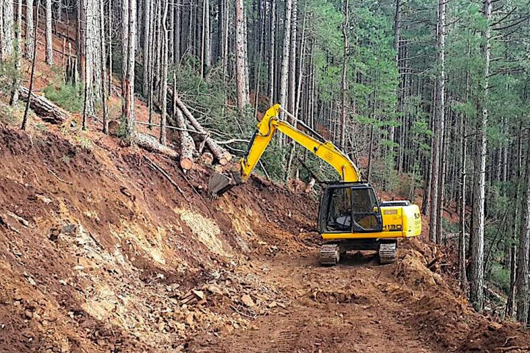 Borçka Orman İşletme Müdürlüğü oarman yolu yaptıracak