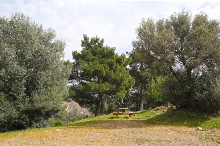 Yamanlar Piknik Alanı yeni sezona hazır