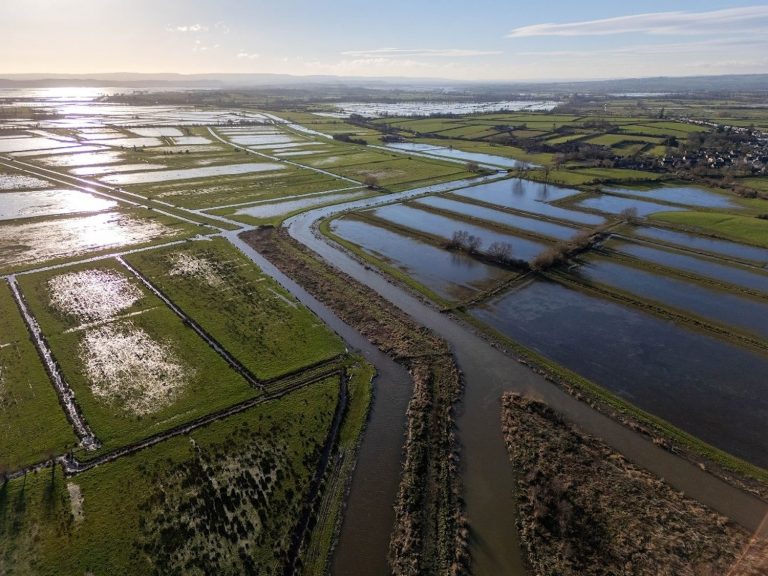Tarımda teknoloji hamlesi 