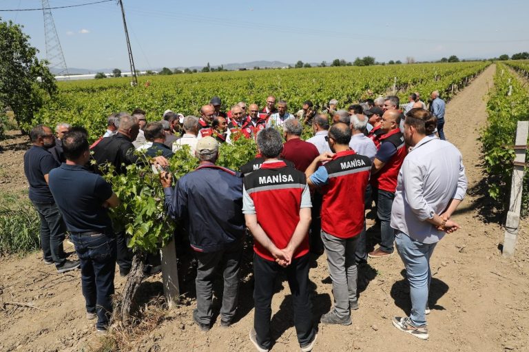 Zirai donun yaraları sarılıyor