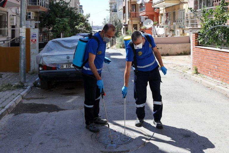 Buca’da ilaçlama seferberliği