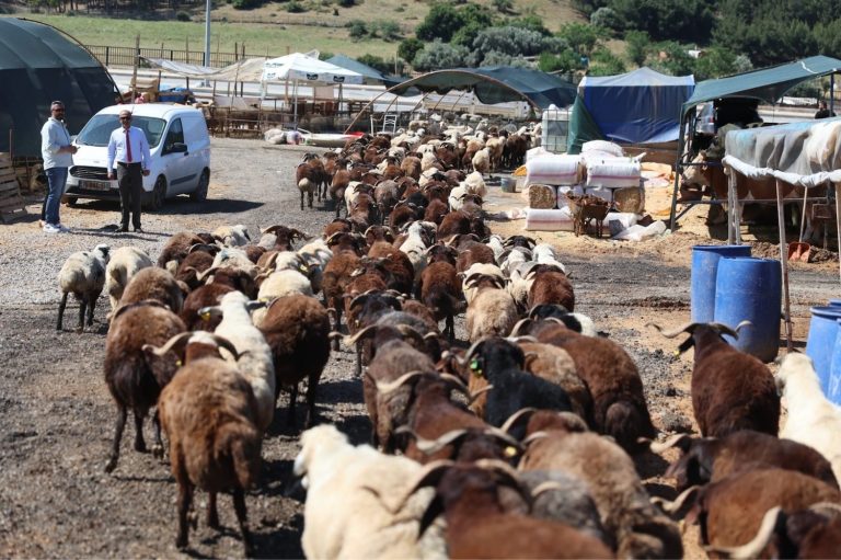 Karabağlar’dan Kurban Bayramı uygulaması