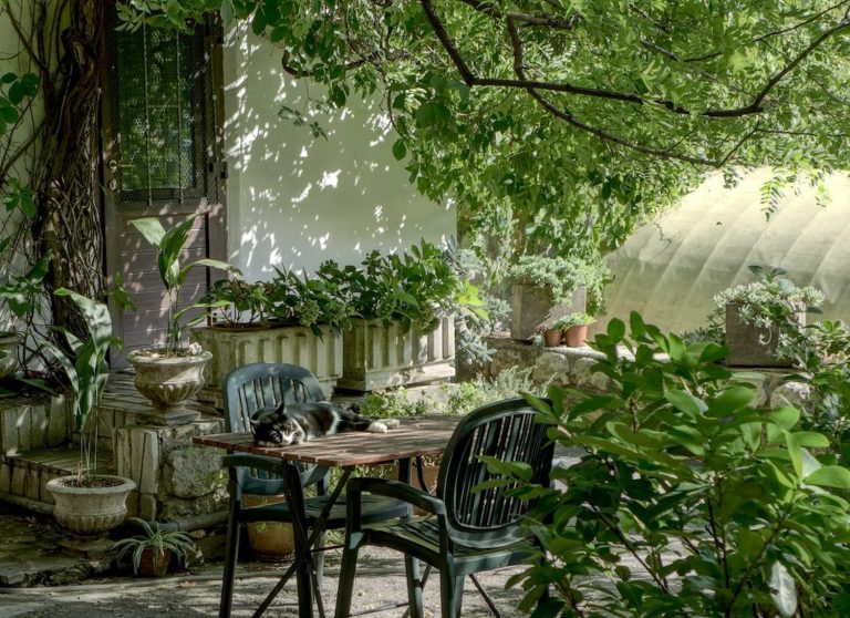 İzmir’in ilk Balkon ve Bahçe Bitkileri Festivali başlıyor