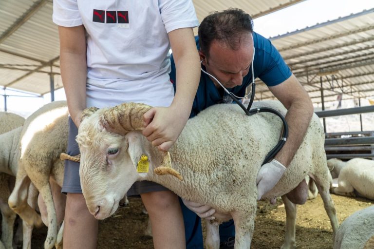 Karşıyaka, Kurban Bayramı’na hazır