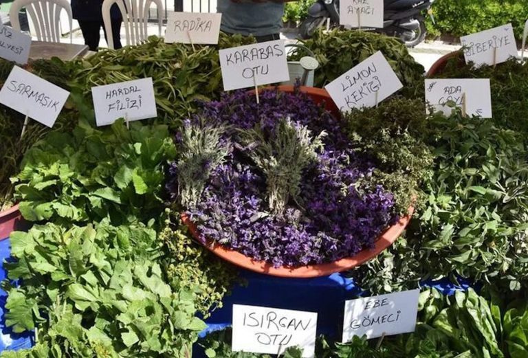 14. Alaçatı Ot Festivali, ‘en etkili’ Gastronomi Festivali seçildi