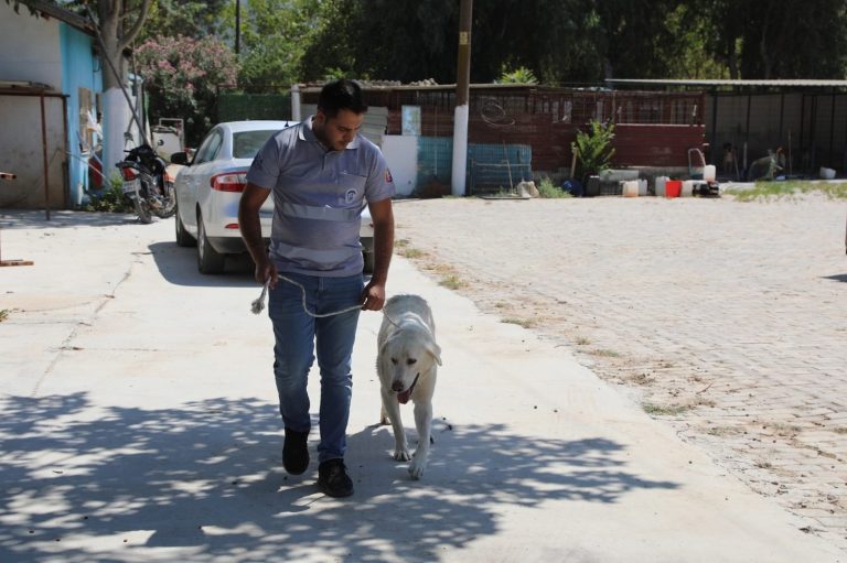 Efes Selçuk’ta “Satın alma sahiplen” çağrısı