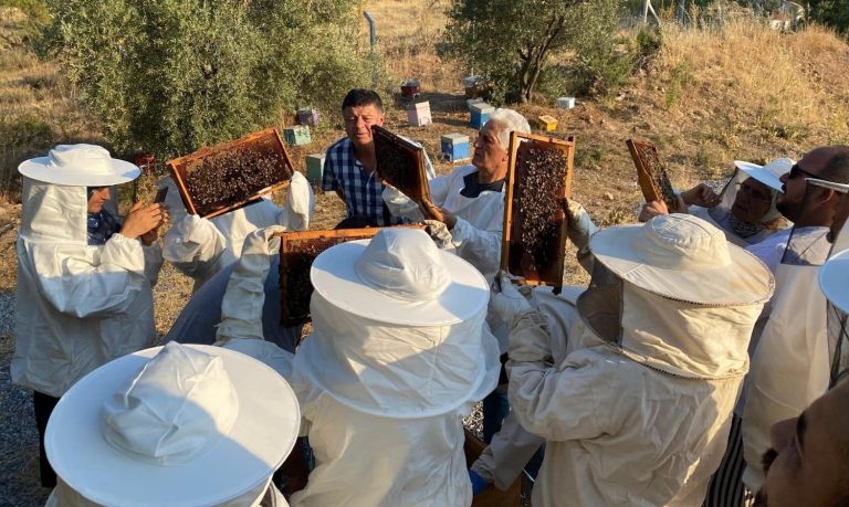 Manisa’da 17 arıcıya uygulamalı eğitim verildi