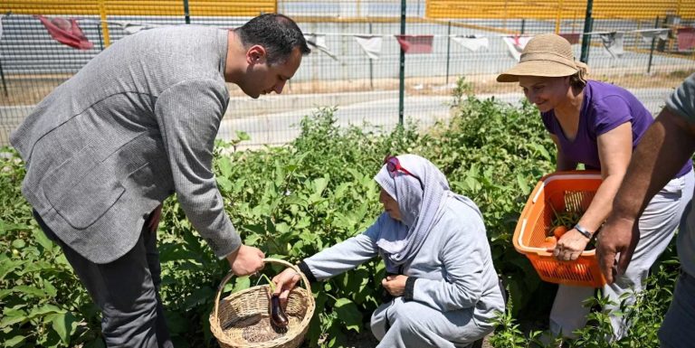 Bornova’da Kent Bostanları’nda hasat sevinci