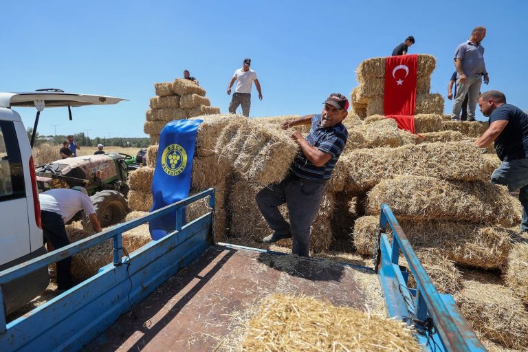 Buca Belediyesi’nden köylülere saman balyası desteği