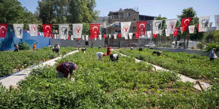 Gıda güvenliği mesajı Bornova’dan verildi