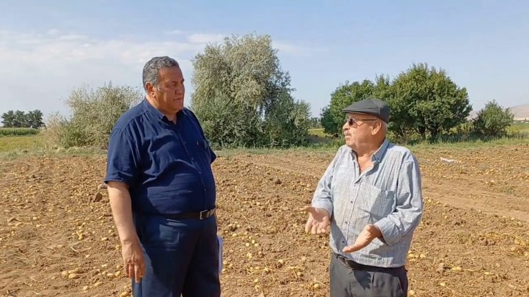 Patates üreticisi dertli
