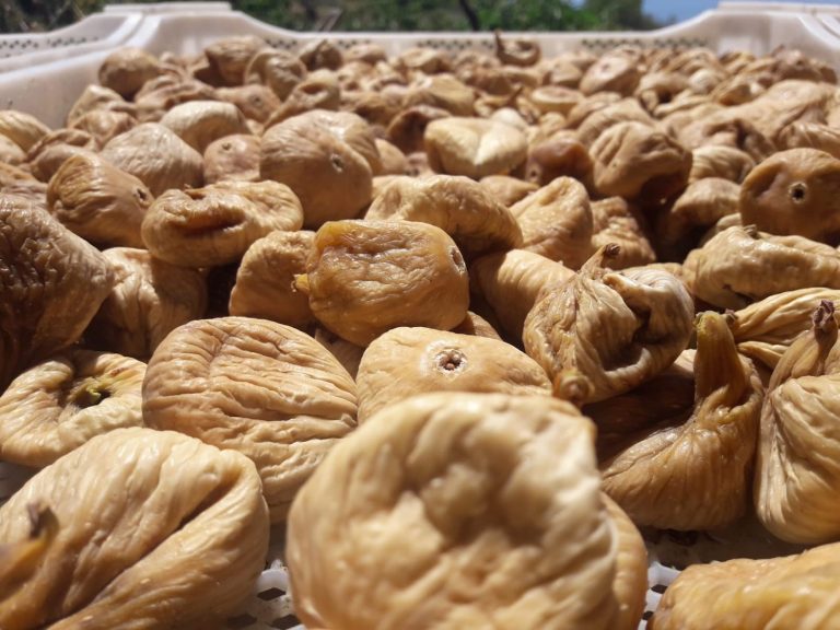 Kuru meyvede 12 ihracat şampiyonunun 11’i Egeli