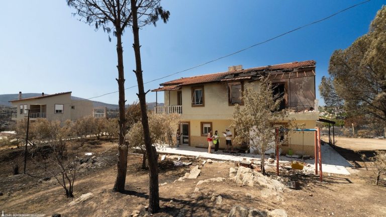 İzBB saha ekipleri yangının yaralarını sarıyor
