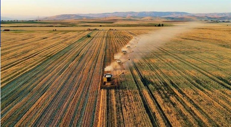 Türkiye’nin tarımsal hasılası 74 milyar dolara ulaştı