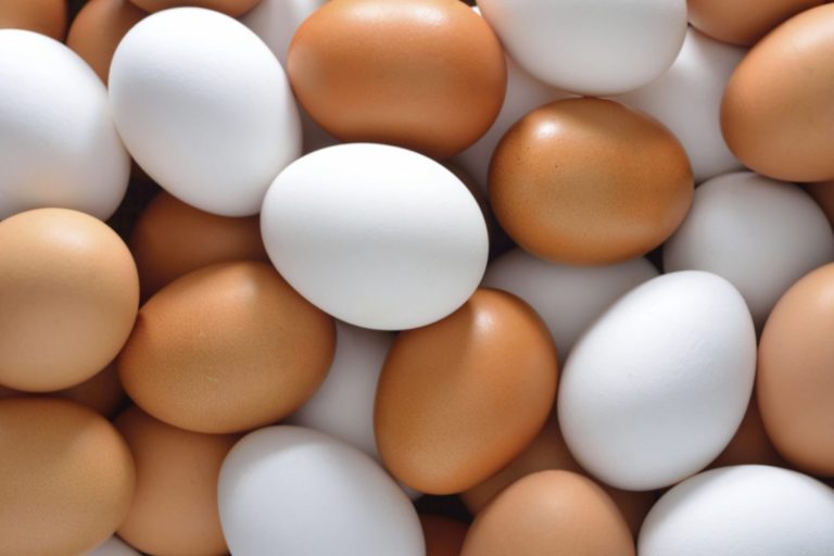Yumurta üretimi 46 ayın en düşük seviyesinde
