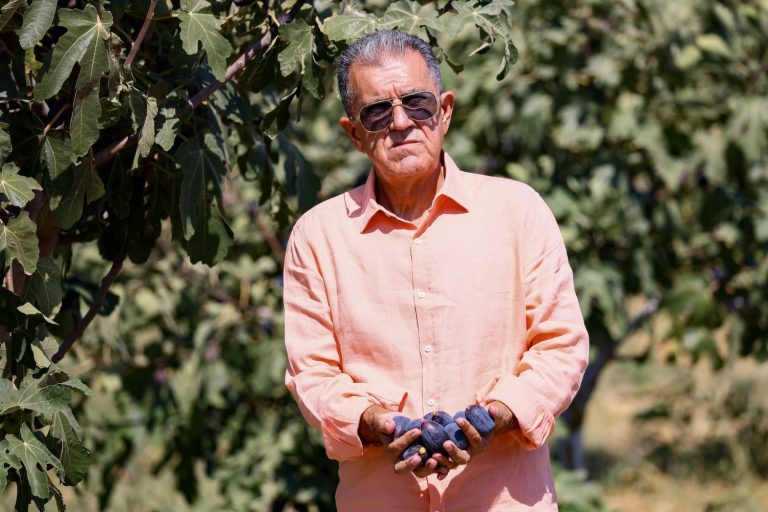 ‘Siyah orak’, Kuzey Ege’de yaygınlaştırılmak isteniyor
