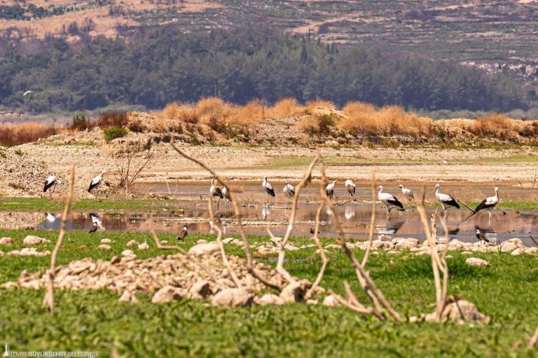Tahtalı Barajı’nda doluluk oranı yüzde 10’a düştü