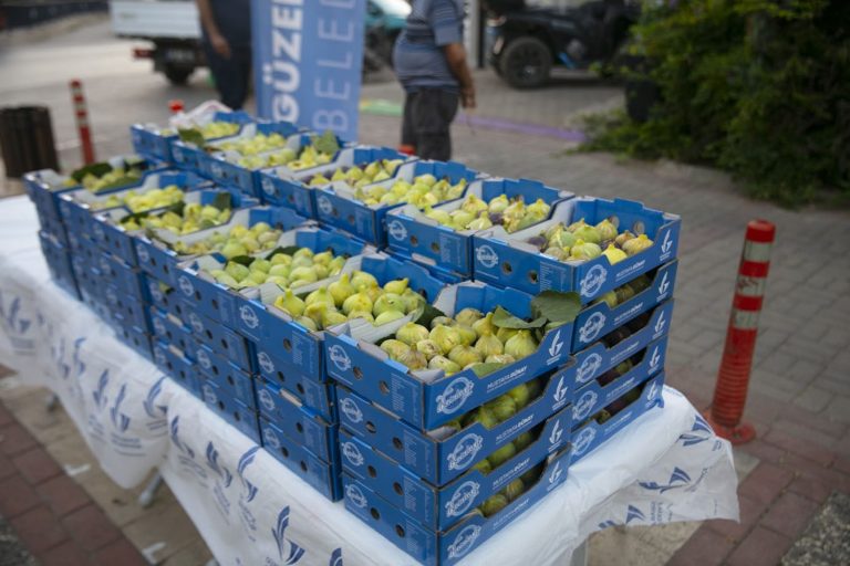 Dalında kuruyan bardacığı halka ücretsiz dağıtılıyor