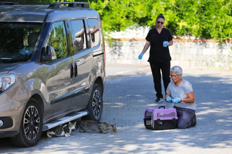 Narlıdere Belediyesi’nden minik dostlar için seferberlik