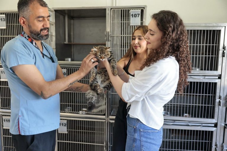 Konak’ın patili dostları ömürlük yuvalarını bekliyor