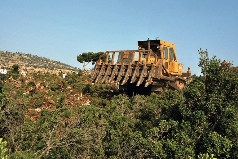 Bursa Orman Bölge Müdürlüğü arazi hazırlığı hizmeti alacak