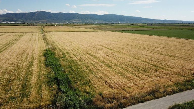 “Aromatik bitkilerin merkezi İzmir olacak”