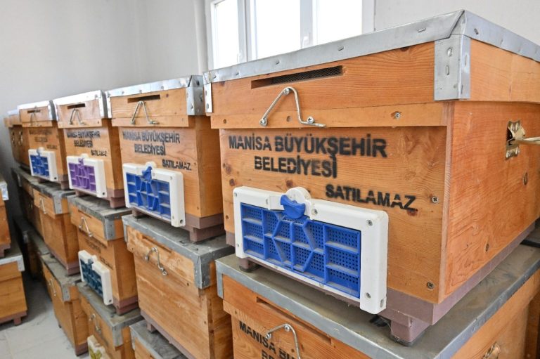 Manisa’dan Kırkağaçlı kadınlara arıcılık desteği