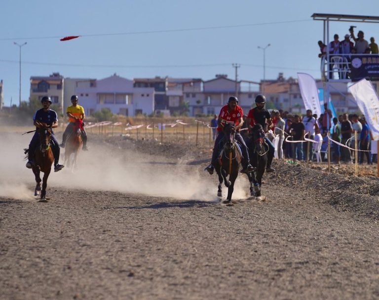 Ayvalık’ta ilk kez ‘Rahvan At Yarışları’ düzenlendi