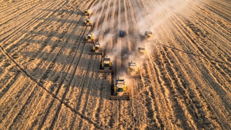 Gürer: AB’de 476 ürünümüz kusurlu bulundu 
