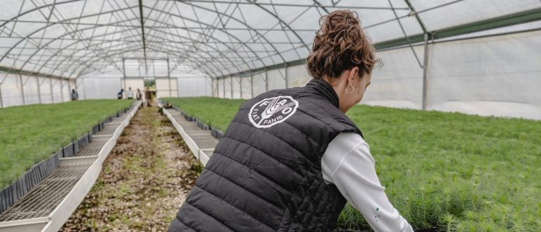 ‘İnovasyon’ orman endüstrisi uzmanlarının gündeminde ilk sırada