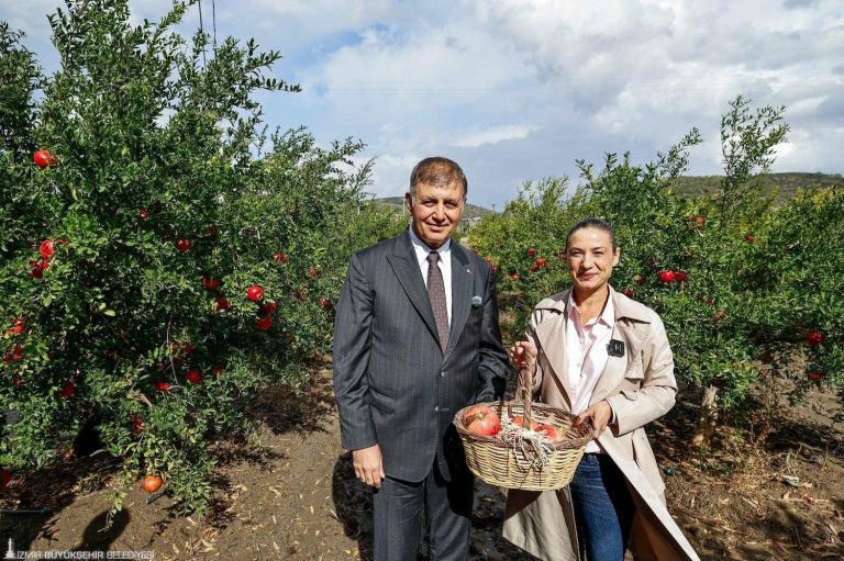 Başkan Tugay, Selçuklu çiftçilerle nar hasadı yaptı